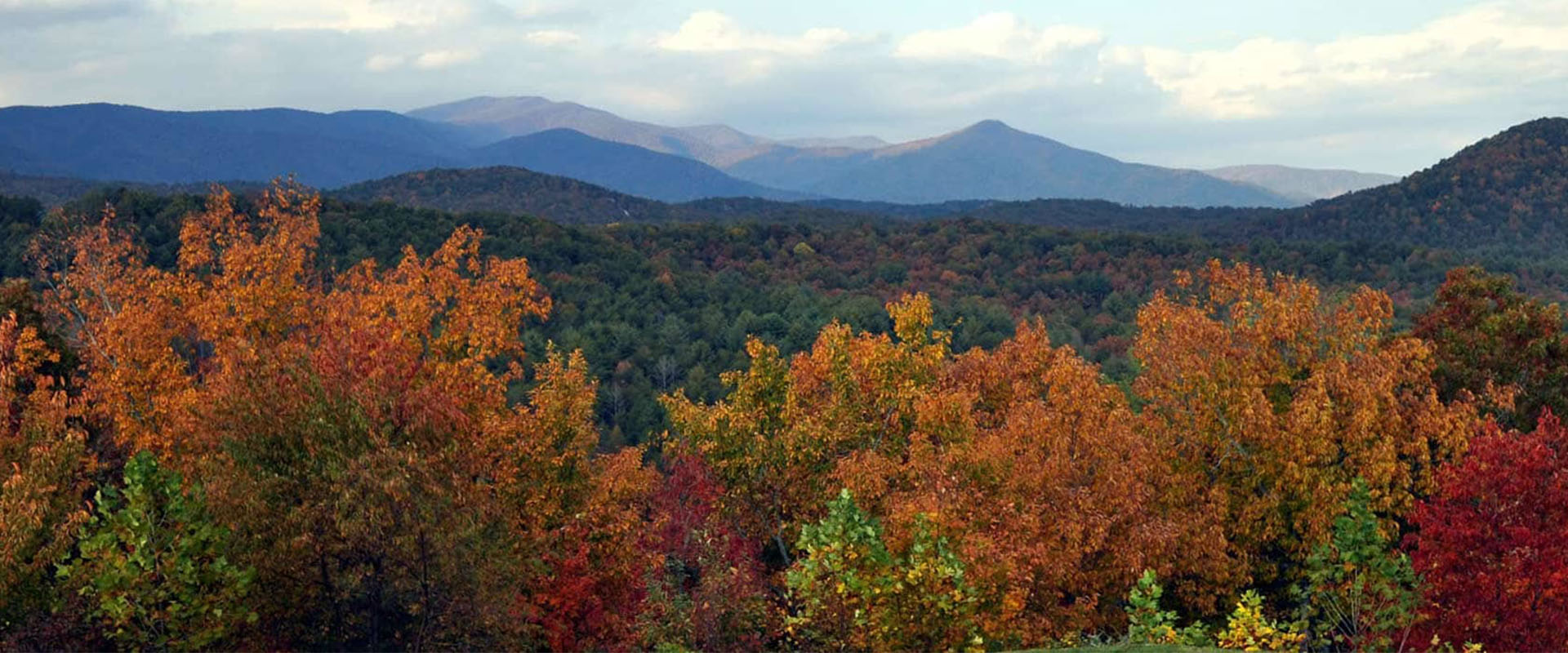 Cabin Rentals Ellijay Pet Friendly Ga Vacation Rental